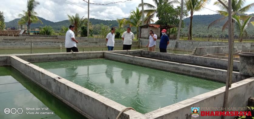 DINAS PANGAN DAN PERIKANAN MELAKUKAN CPCL KE POKDAKAN LESTARI DI KECAMATAN TIMPEH