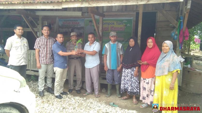 DUKUNGAN PROGRAM NAGARI MANDIRI PANGAN