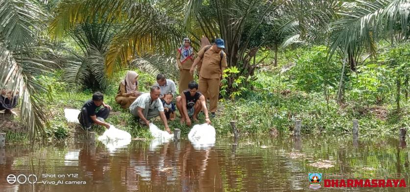 PEMBERIAN BANTUAN BIBIT IKAN UNTUK PETANI IKAN KECAMATAN KOTO BESAR
