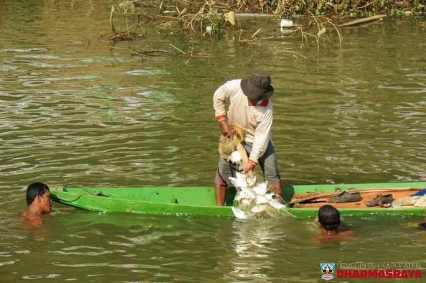 PENGELOLAAN LUBUK LARANGAN KAMPUNG SURAU BERBASIS KEARIFAN LOKAL DI BATANG PANGIAN KABUPATEN DHARMASRAYA