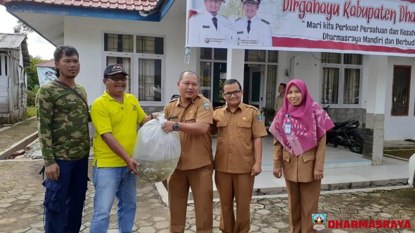 SERAH TERIMA BANTUAN BENIH IKAN DARING SEBANYAK 5.000 EKOR UNTUK KAWASAN KONSERVASI LUBUK LARANGAN SE KABUPATEN DHARMASRAYA