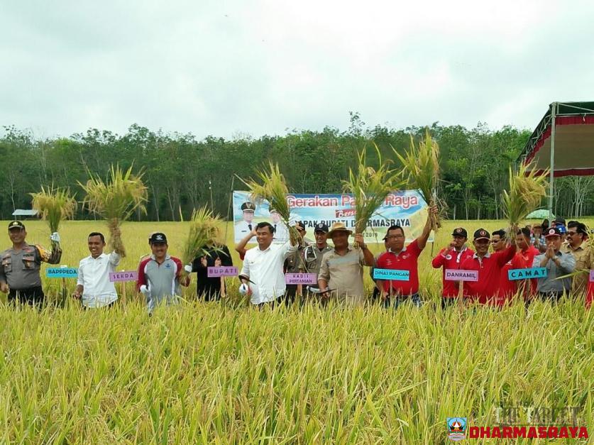 Sutan Riska Bersama Patani Kokohkan Dharmasraya Sebagai Lumbung Pangan Ranah Minang