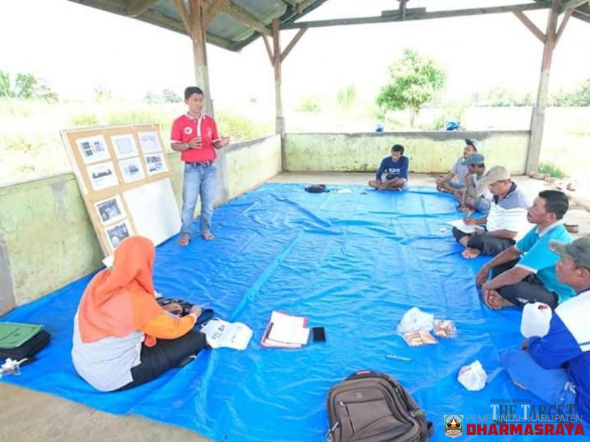 Tingkatkan Pendapatan Rakyat, Bupati Sutan Riska Gelontorkan Program Minapadi